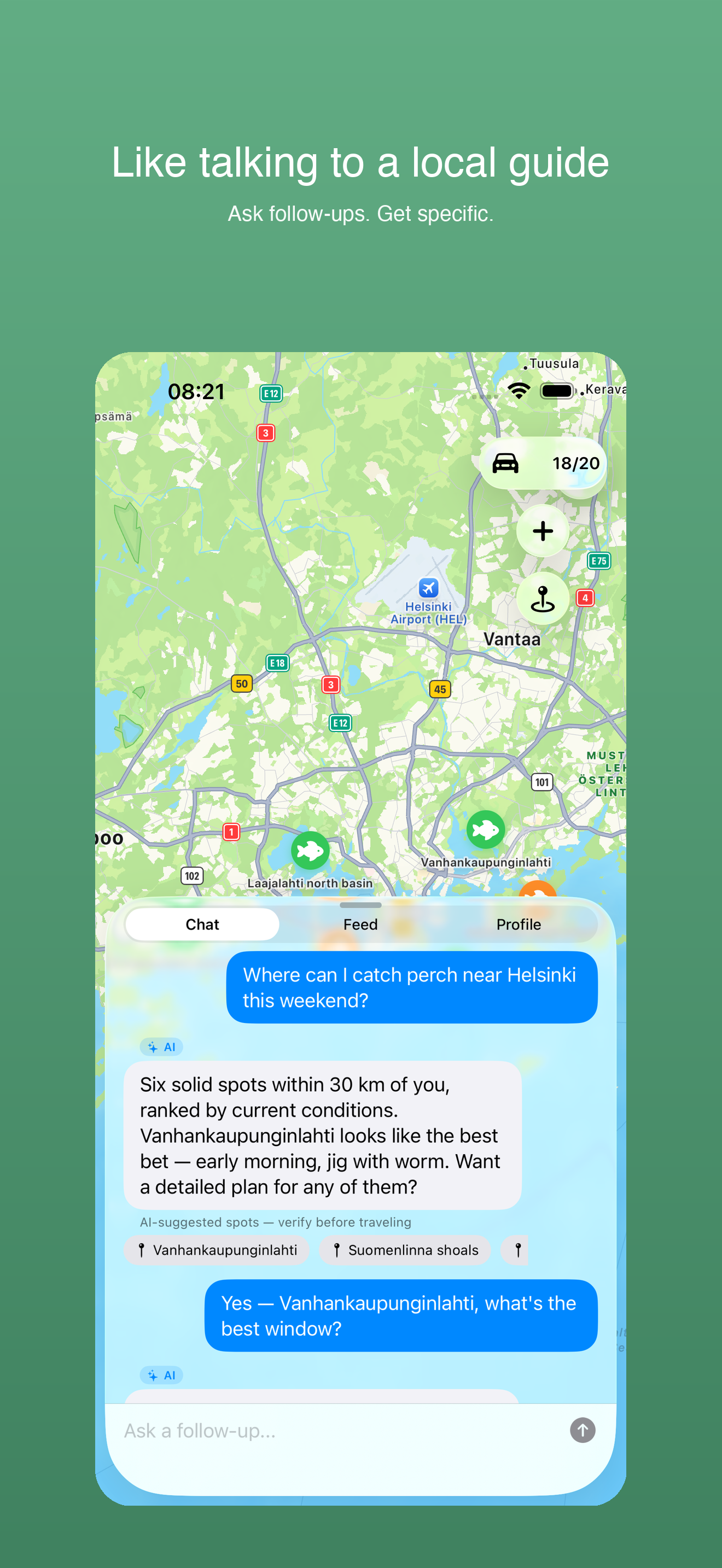AI conversation with follow-up question about Vanhankaupunginlahti